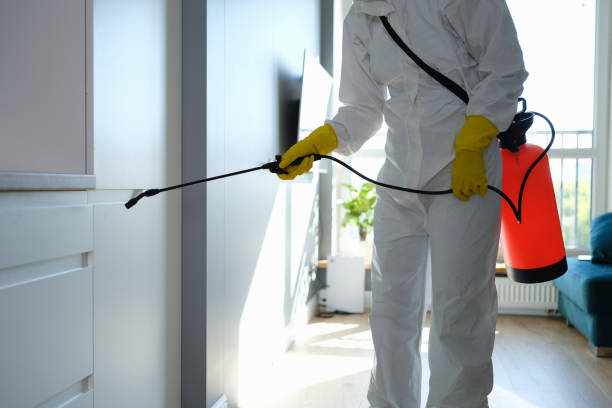 Best Residential Mold Remediation in South Amboy, NJ