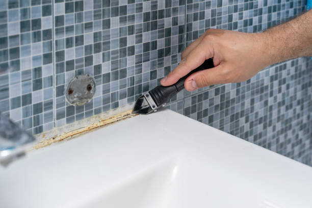 Best Bathroom Mold Remediation in South Amboy, NJ